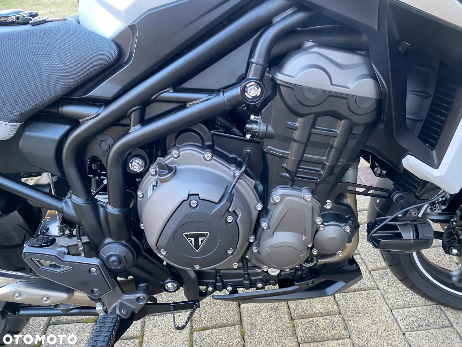 Triumph Tiger - 5