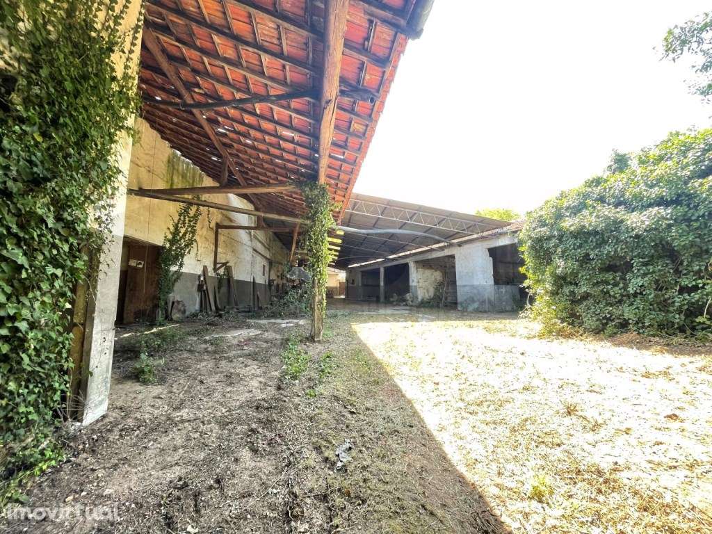 Prédio com habitação e comercio e armazém - Anadia - Grande imagem: 3/10