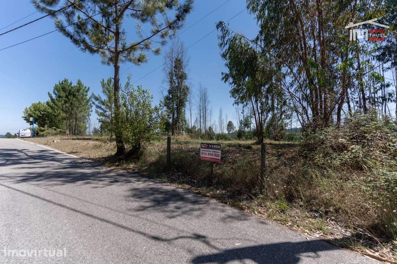 Terreno no centro de Caxarias com 1.349,65 m2