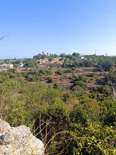 Terreno em Vale Formoso 1400 m - Grande imagem: 3/7
