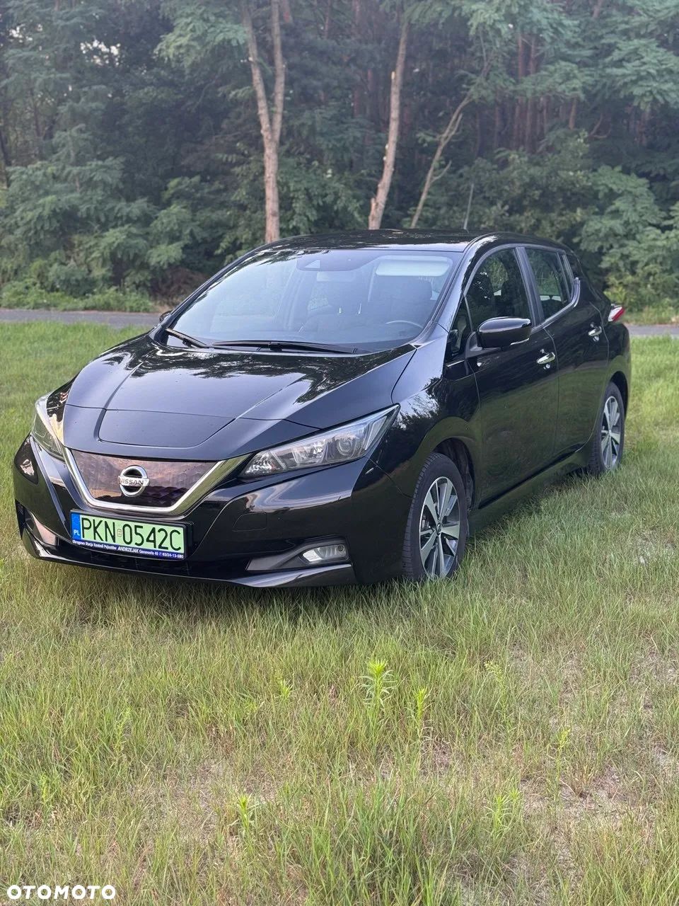 Nissan Leaf 40 kWh - 1