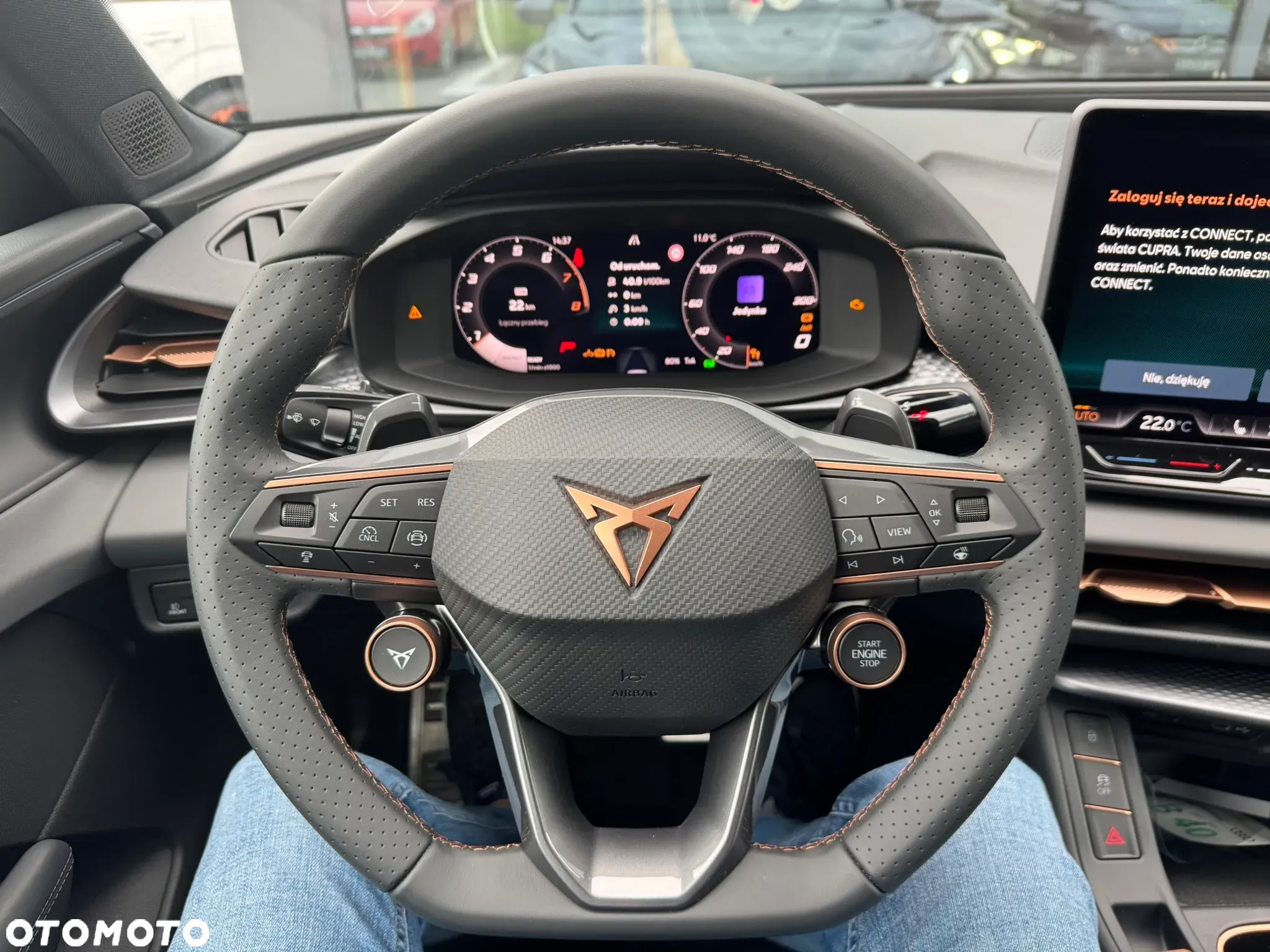 Cupra Terramar 1.5 eTSI mHEV DSG - 15