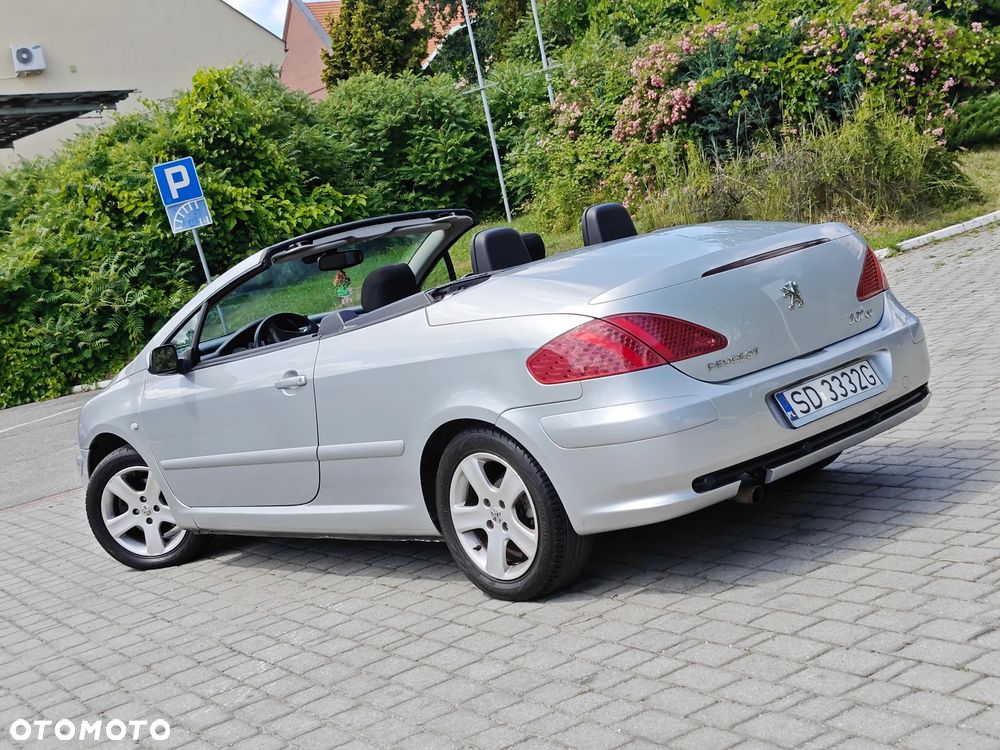 Peugeot 307 CC 110 Filou - 3