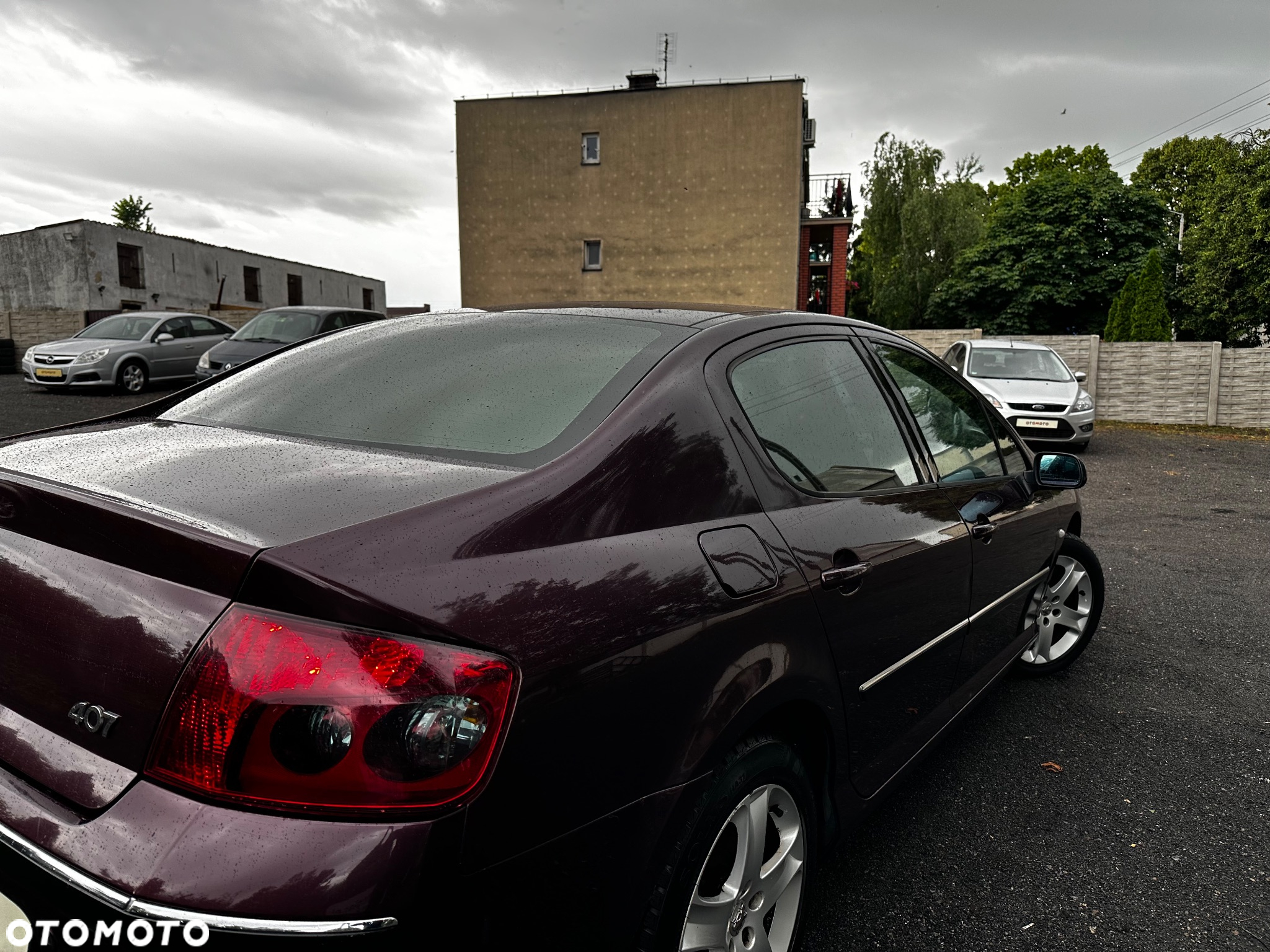 Peugeot 407 - 14