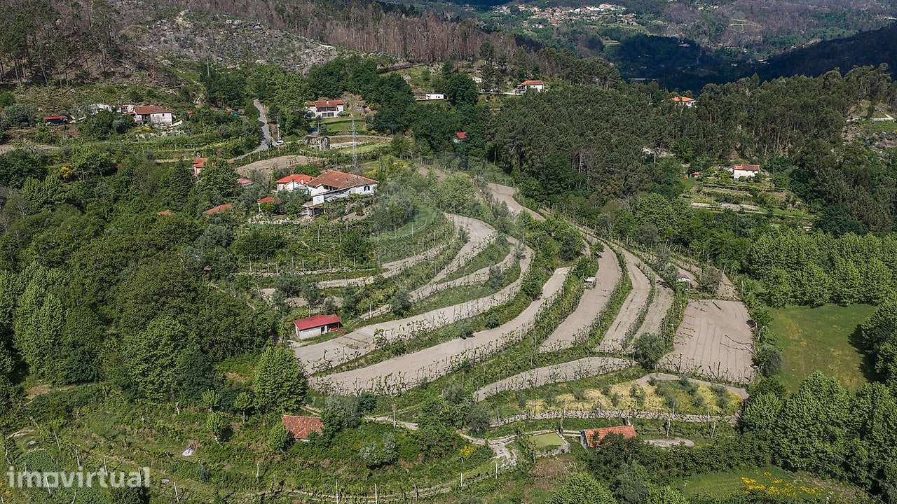 Quinta T4 para venda - Grande imagem: 4/45