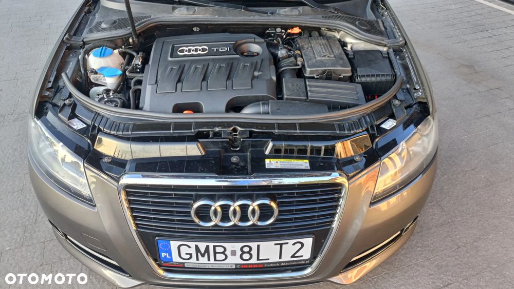 Audi A3 3-drzwiowe - 19