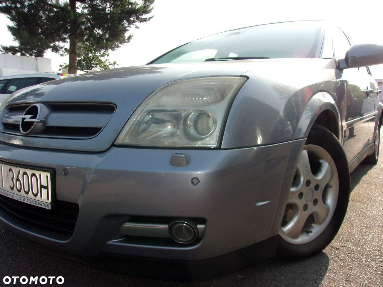 Opel Signum - 2