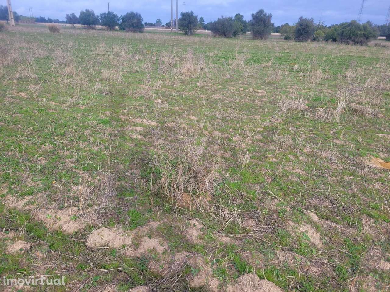 TERRENO RÚSTICO COM 3820M2 PARA VENDA EM ARRANCADA-TUNES - Grande imagem: 3/7