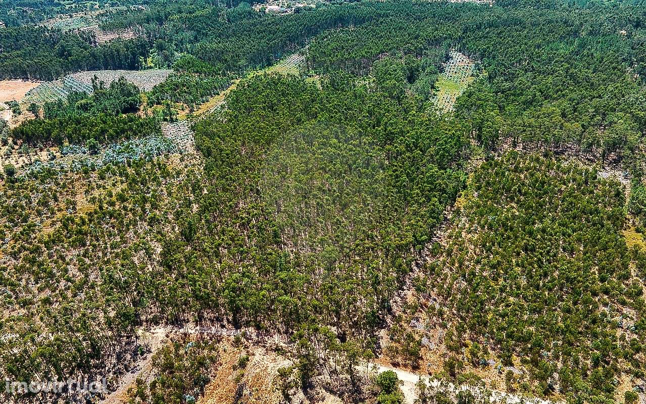 Terreno  para venda - Grande imagem: 4/9