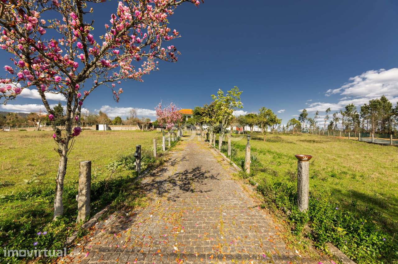 Moradia com Terreno de 3.270 m², a 10 Minutos do Centro de Braga - Grande imagem: 3/46