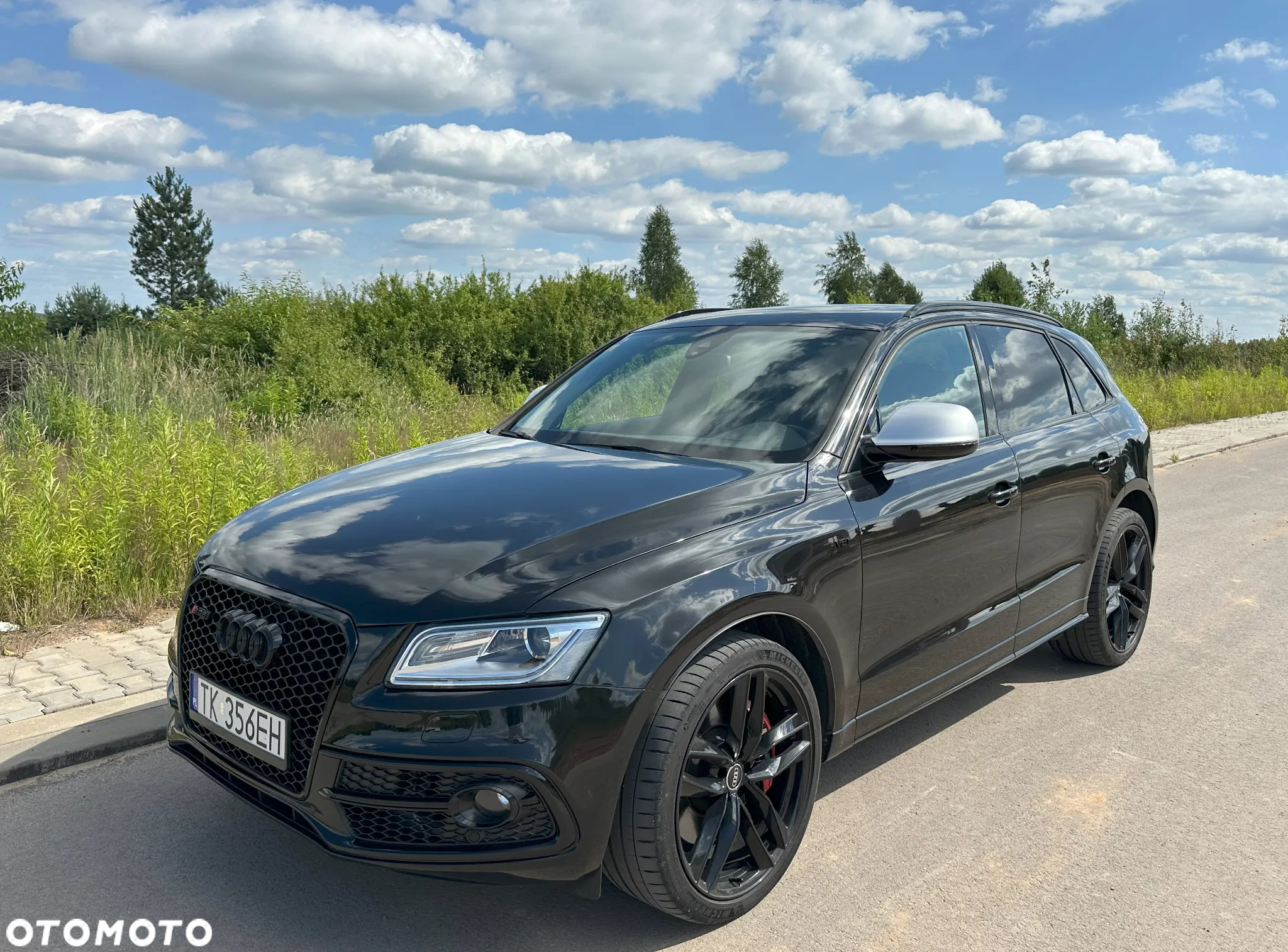 Audi SQ5 3.0 TDI Quattro Tiptronic EU6 - 4