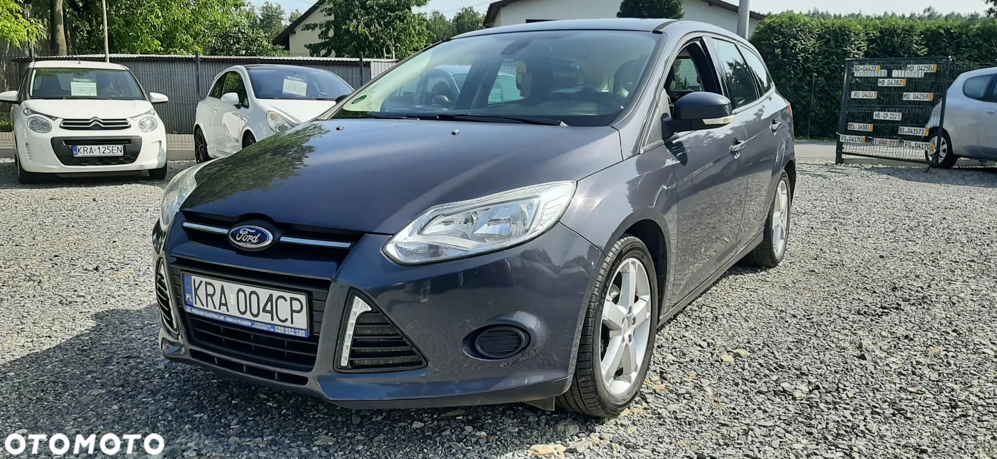 Ford Focus - 24
