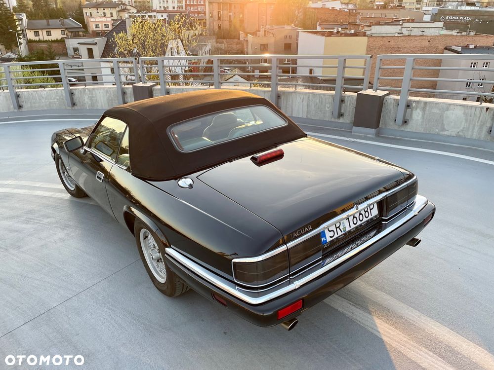 Jaguar XJS - 17