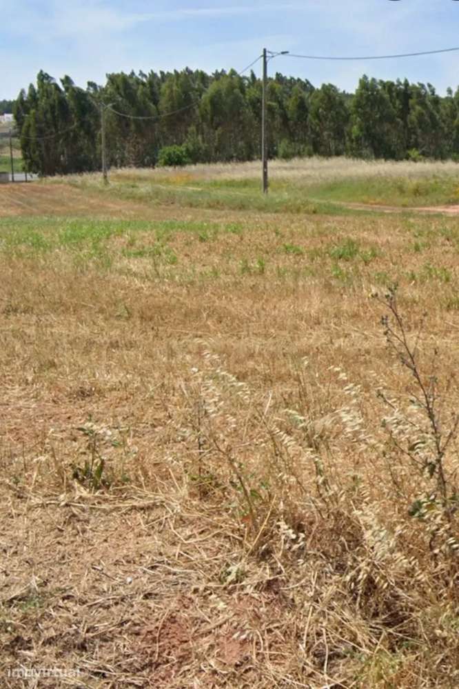 Excelente oportunidade de investimento em Torres Vedras - Grande imagem: 2/3