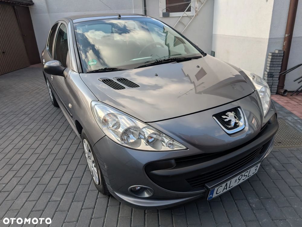 Peugeot 206 plus - 10