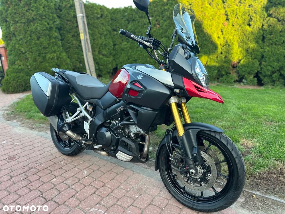 Suzuki DL - 31