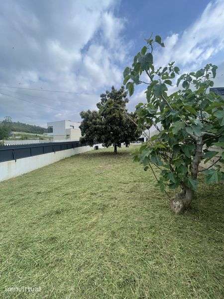 Moradia t3 Ribeira de Frades - Grande imagem: 4/12