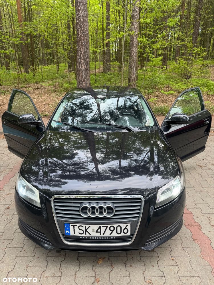 Audi A3 3-drzwiowe 1.6 TDI DPF Attraction - 17