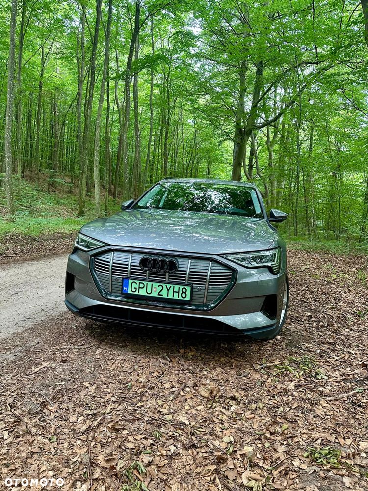 Audi e-tron 50 quattro - 12