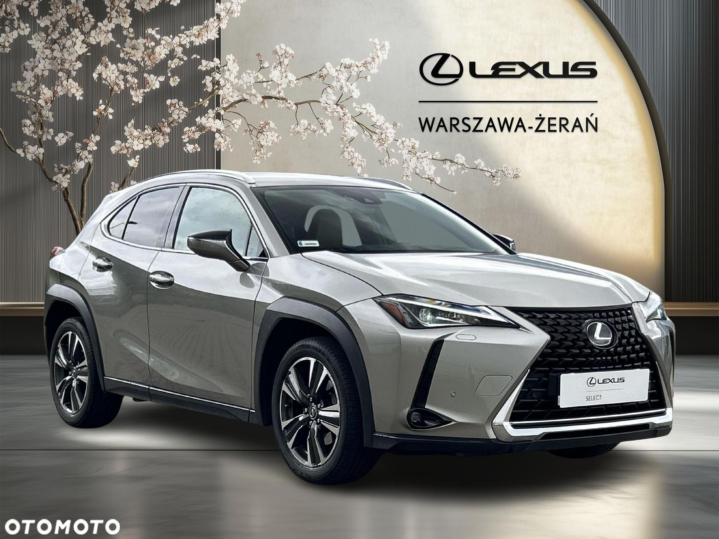 Lexus UX 200 Optimum 2WD - 9