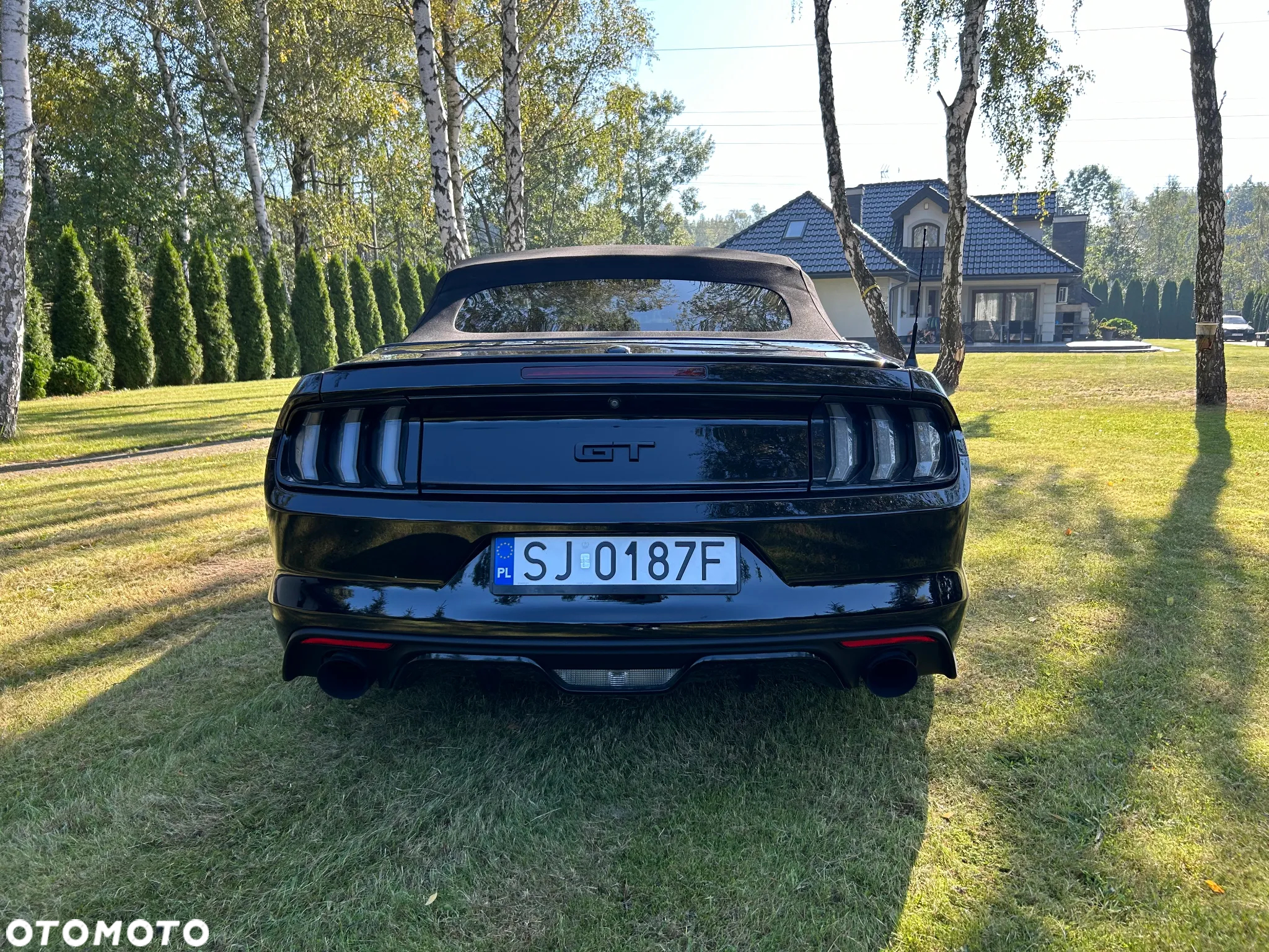 Ford Mustang - 8