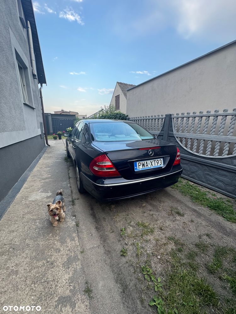 Mercedes-Benz Klasa E 240 Avantgarde - 2
