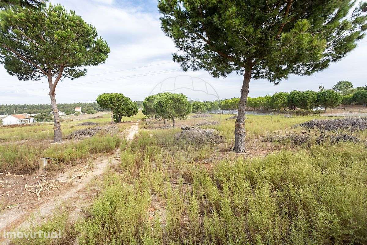 Terreno  para venda - Grande imagem: 2/5