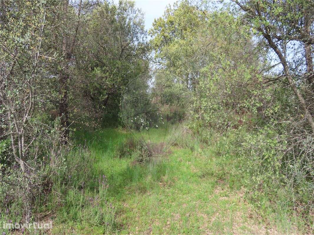 Quinta  para venda - Grande imagem: 2/17