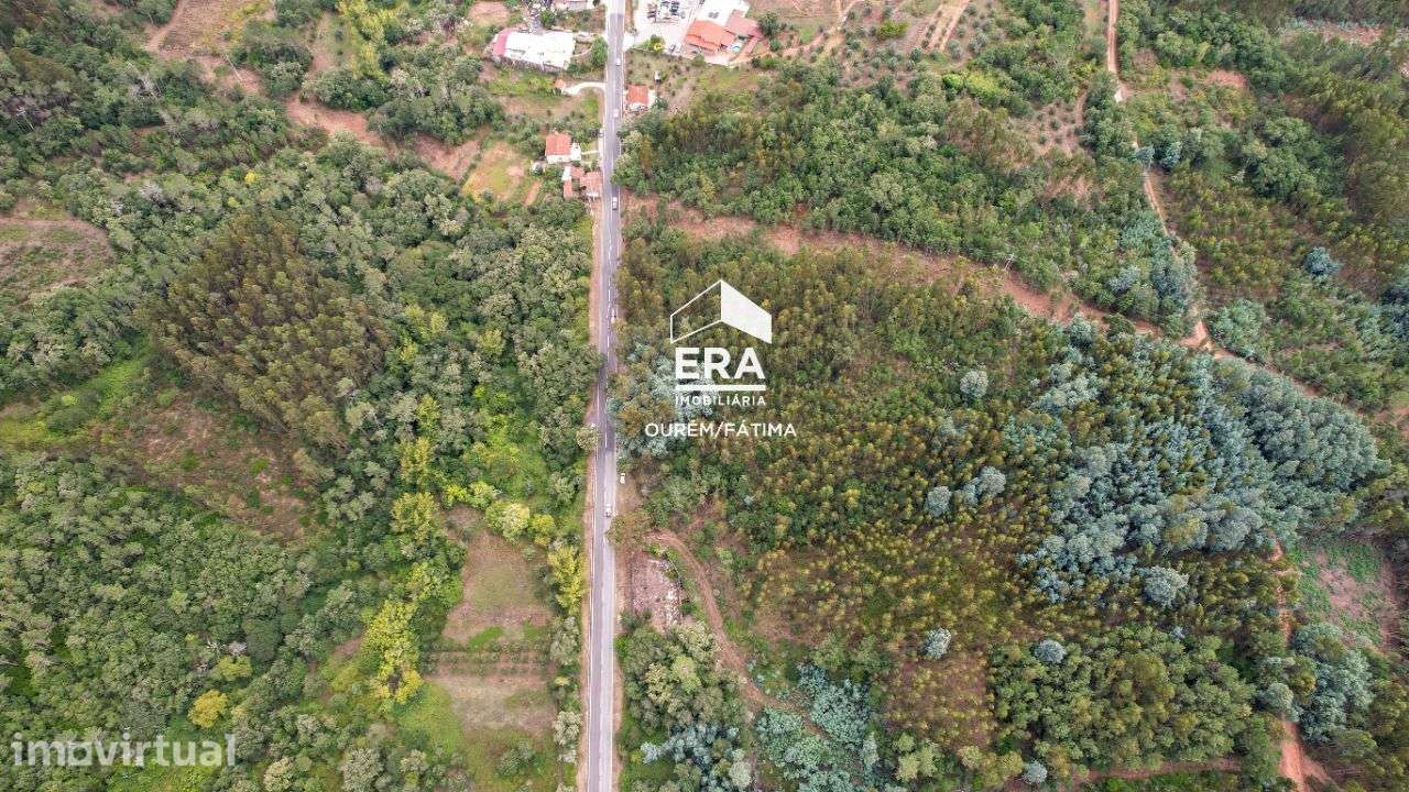 Terreno Rústico localizado em Maçãs de D. Maria - Grande imagem: 3/24