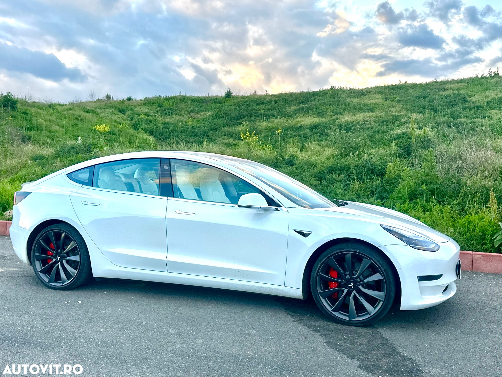 Tesla Model 3 Langstreckenbatterie Allradantrieb Dual Motor Performance - 8