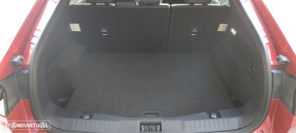 Ford Mustang Mach-E Standard - 50