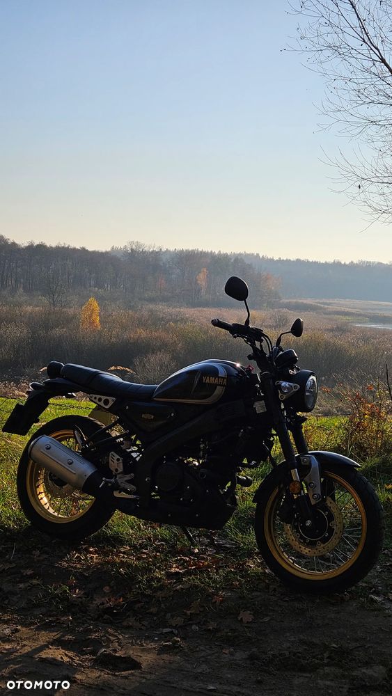 Yamaha XSR - 5