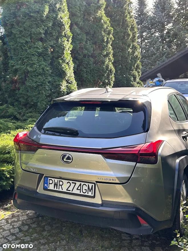 Lexus UX 250h - 4