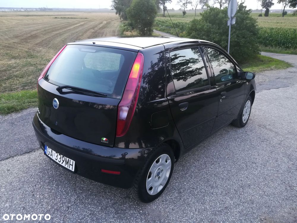 Fiat Punto 1.2 8V Active - 5
