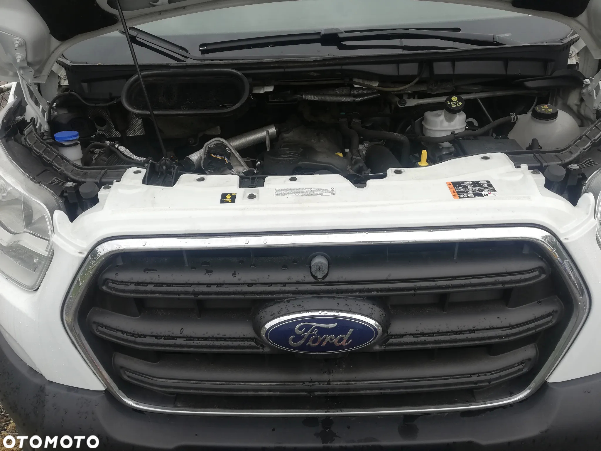 Ford Transit-Jumbo - 20