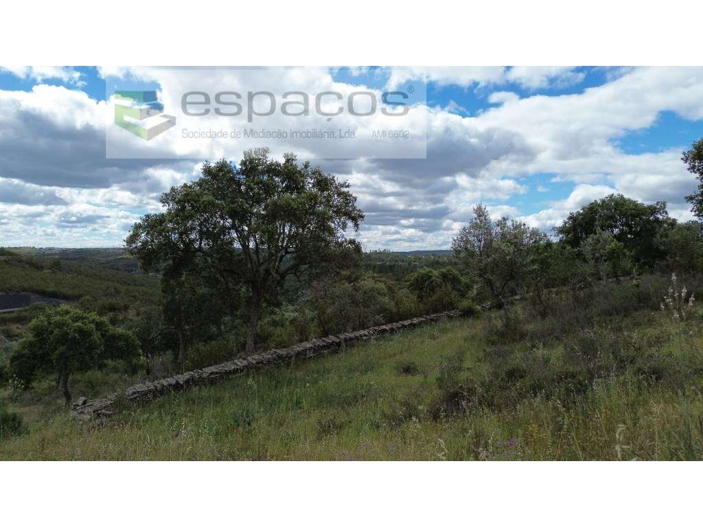 Terreno Monte Fidalgo - Grande imagem: 3/12