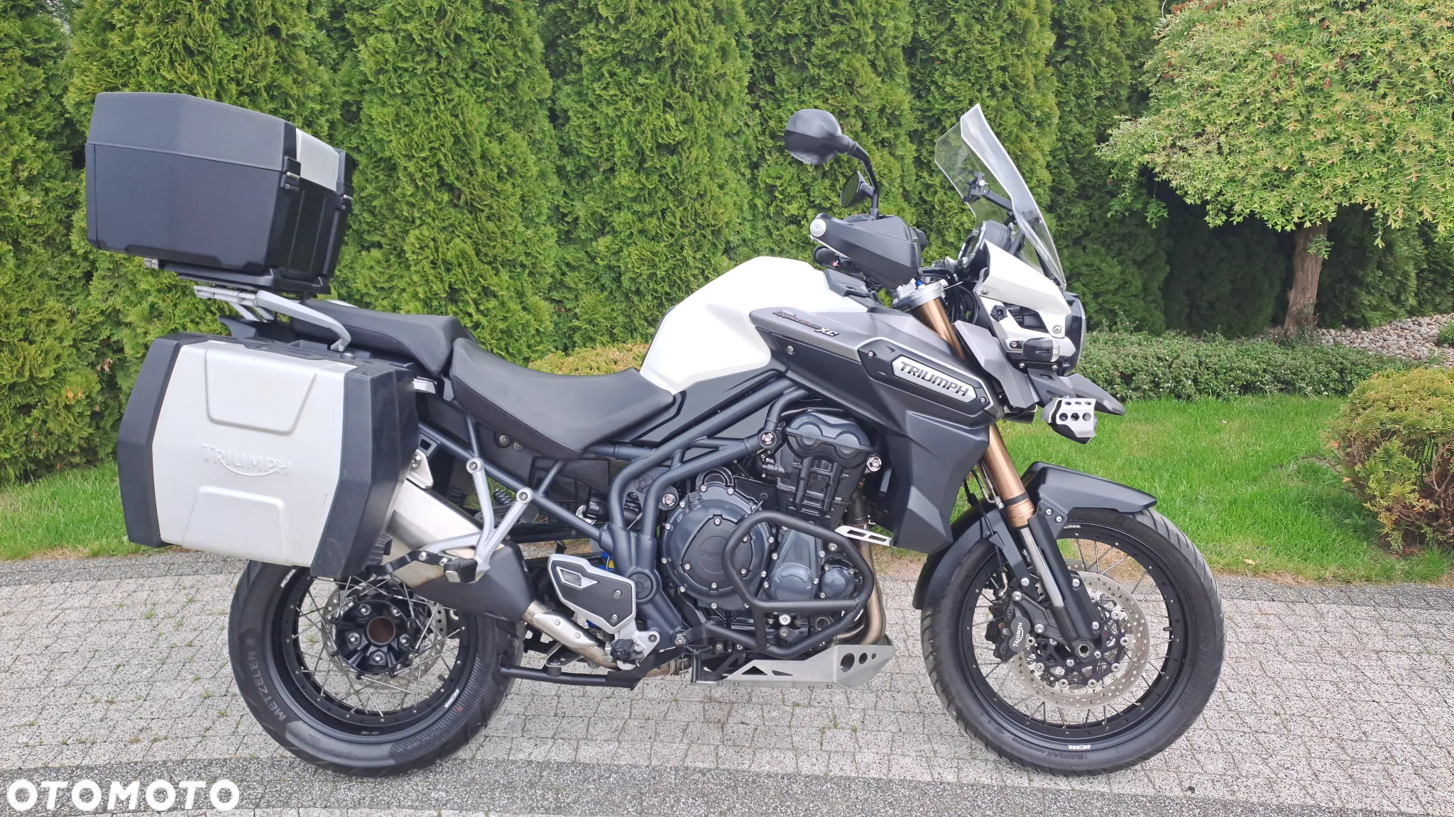 Triumph Tiger - 38