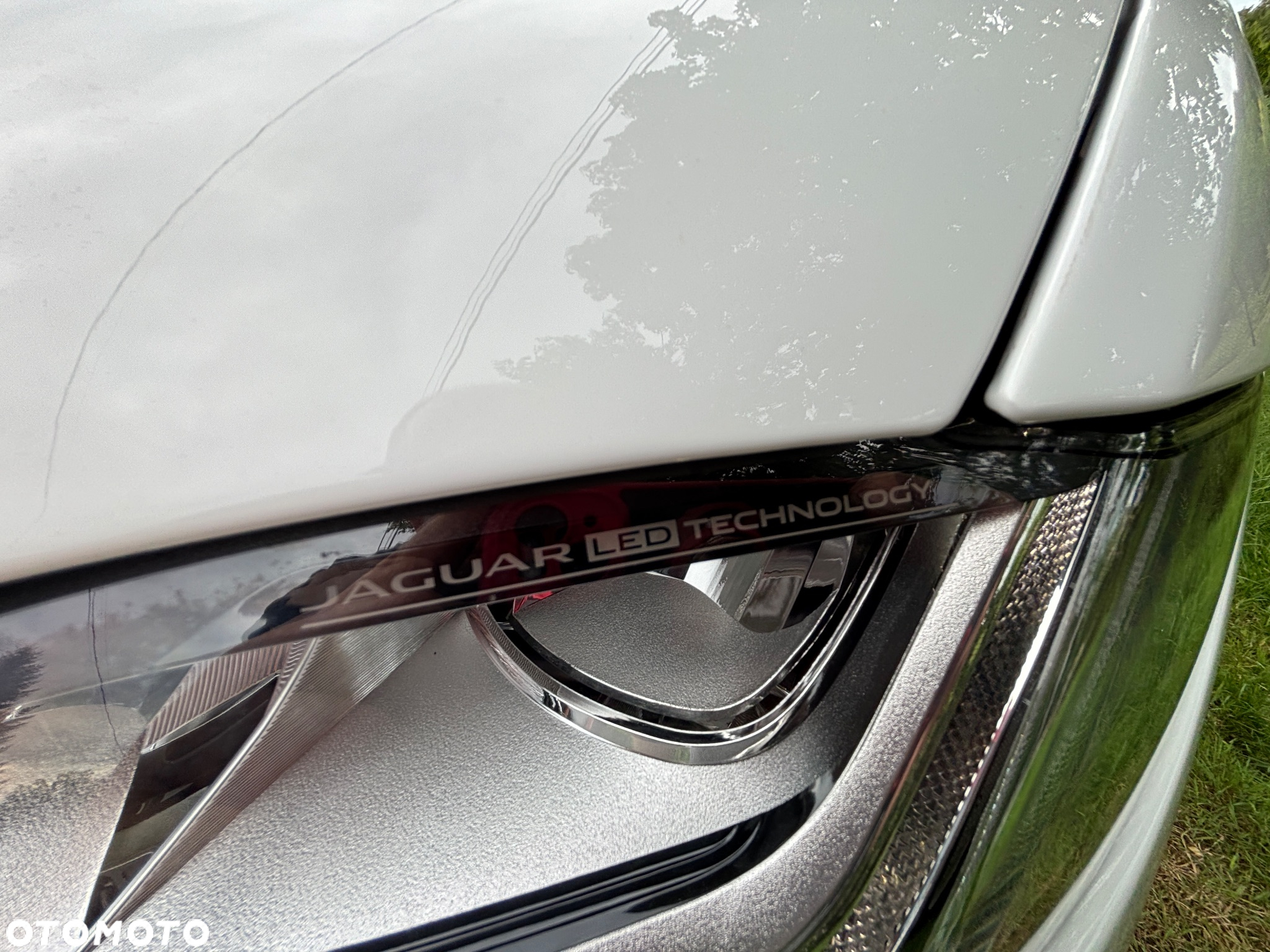 Jaguar F-Pace 5.0 V8 P550 AWD SVR - 28