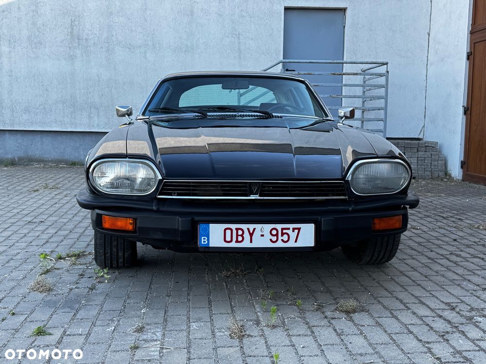 Jaguar XJS - 19