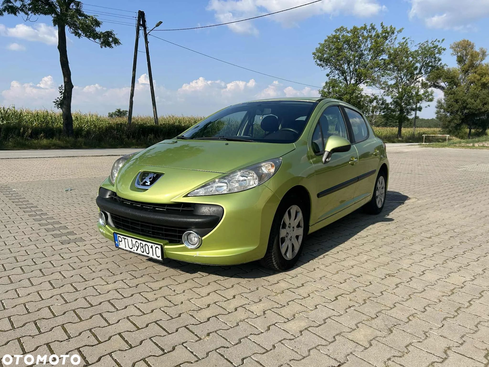Peugeot 207 - 1