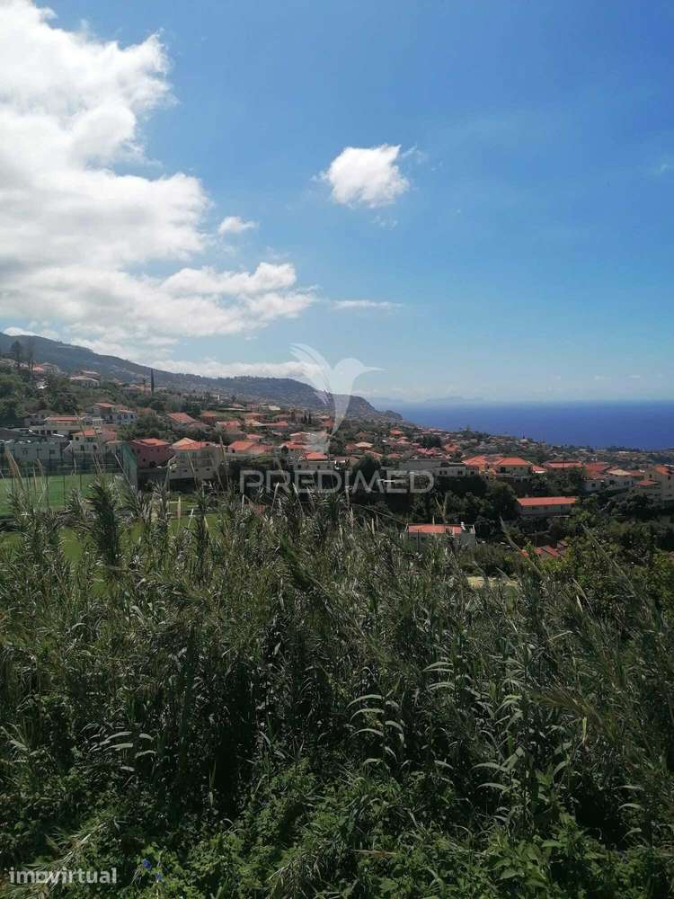 QUINTA HISTÓRICA VISTA FUNCHAL - Grande imagem: 4/13