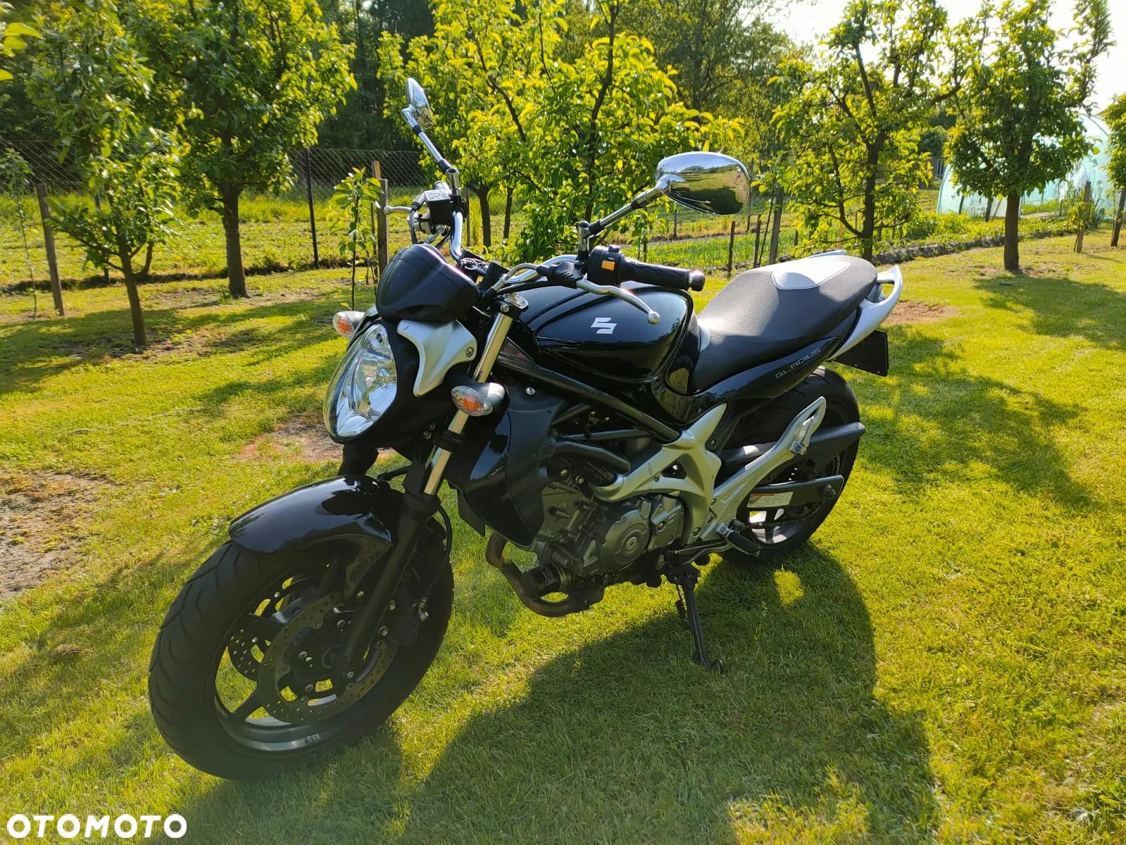 Suzuki Gladius - 1
