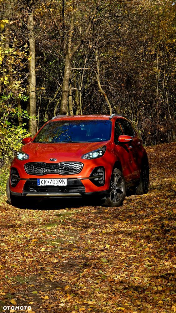 Kia Sportage 1.6 T-GDI GT Line 4WD DCT - 13