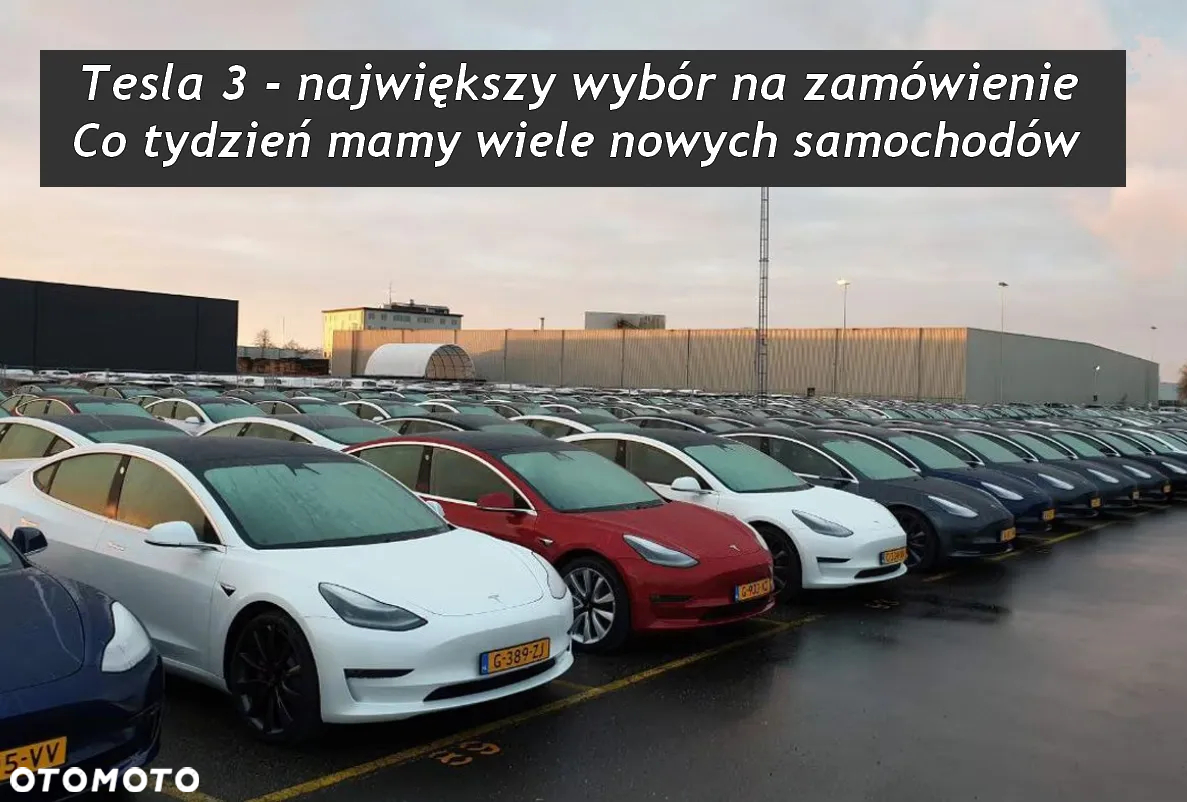 Tesla Model 3 Standard Reichweite Plus Hinterradantrieb - 5