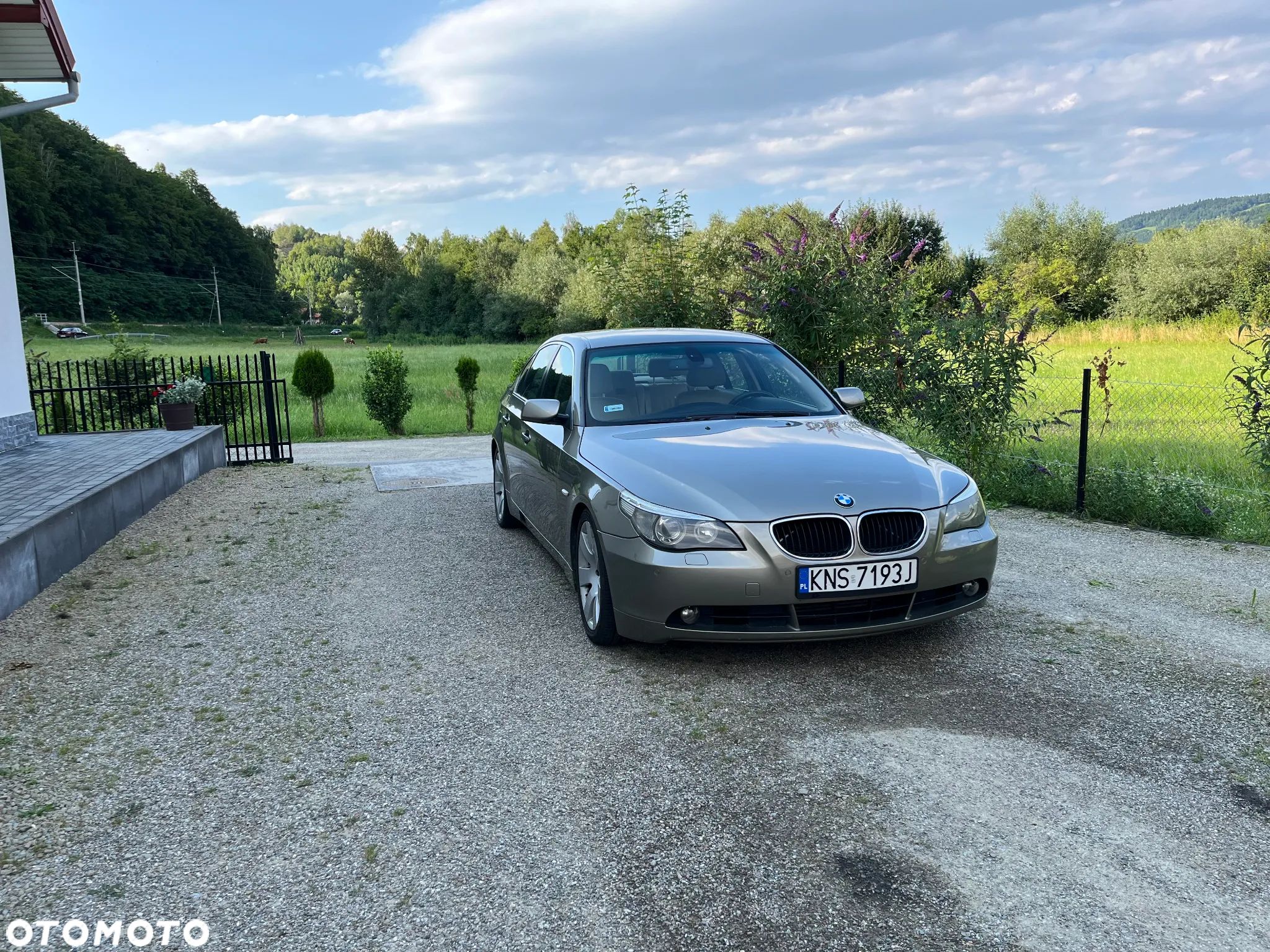 BMW Seria 5 - 1