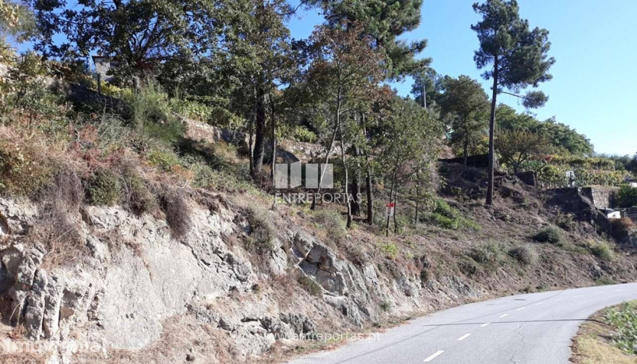 Venda Terreno, vista panorâmica, Valadares, Baião - Grande imagem: 3/6