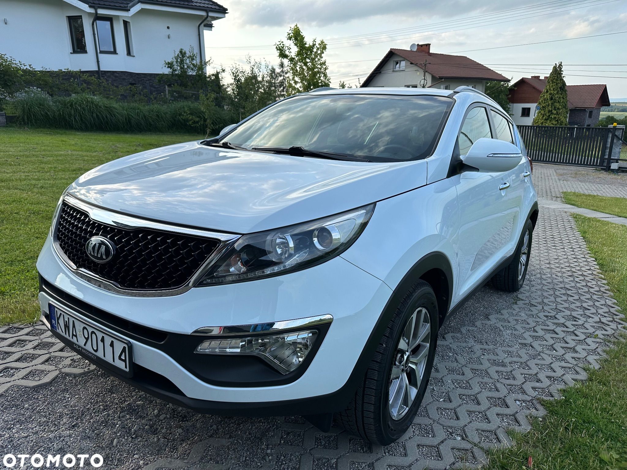 Kia Sportage - 1