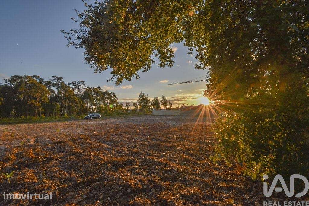 Terreno Agrícola em Marinha Grande - Grande imagem: 4/6