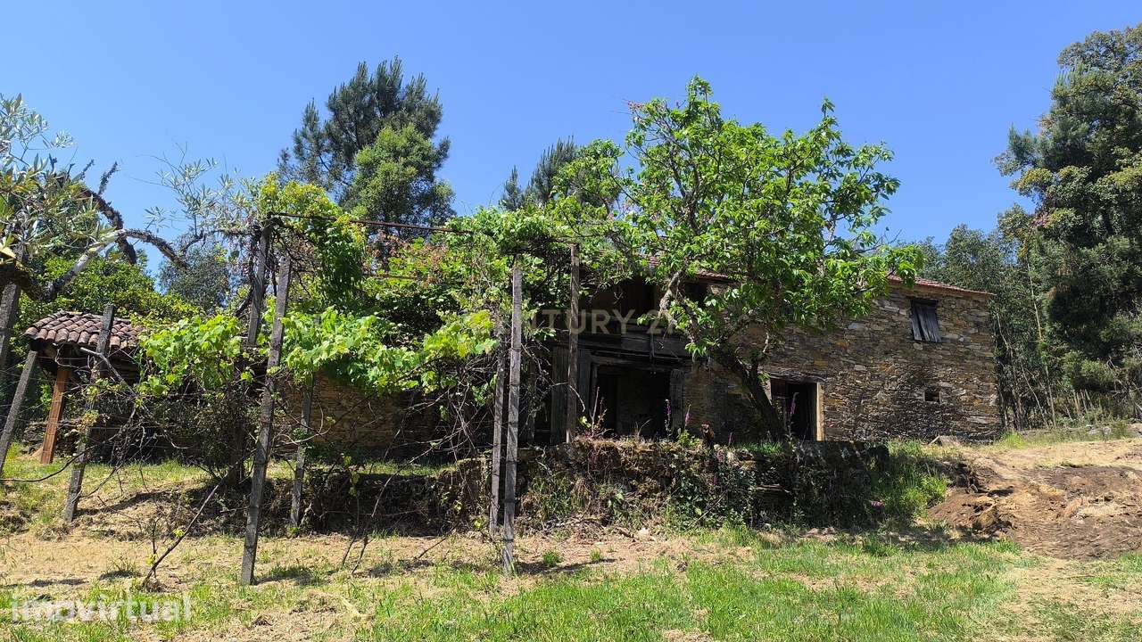 Quinta para Recuperar em Leiria com Vista para a Montanha - Grande imagem: 3/21