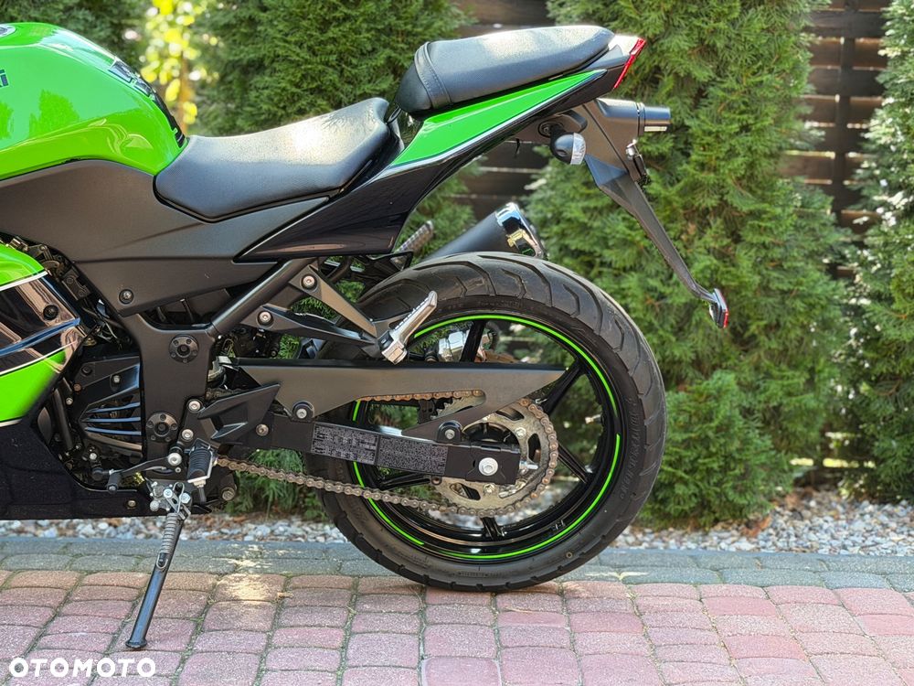 Kawasaki Ninja - 20
